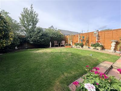 Picture 23